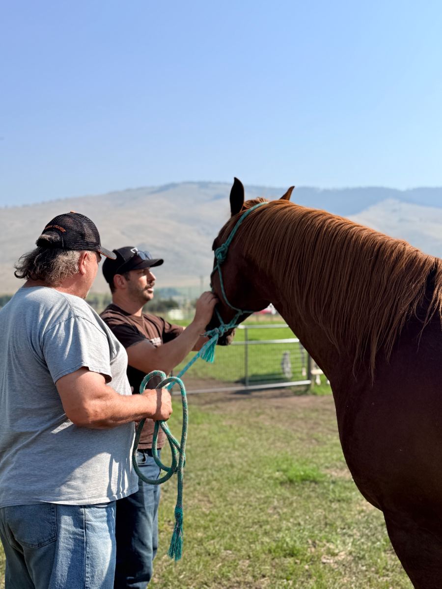 Dr. Austin working with a horse and its owner