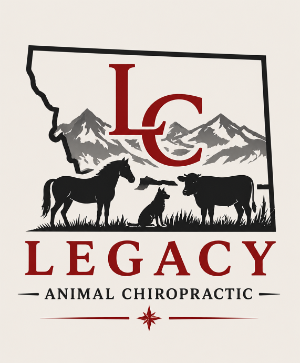 Legacy Animal Chiropractic